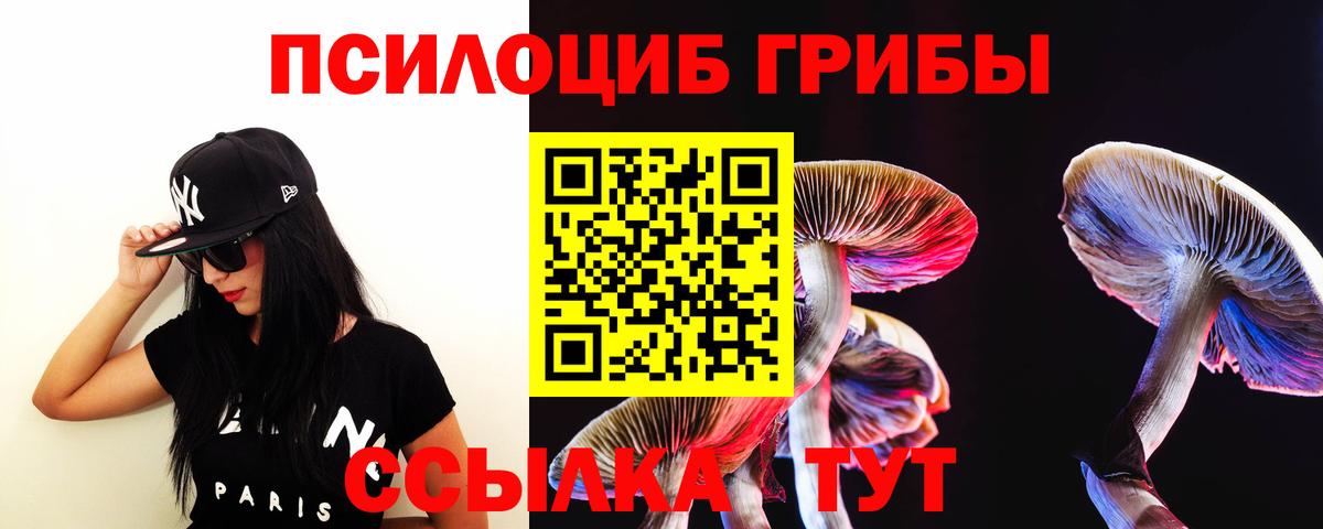 Галлюциногенные грибы прущие грибы Асино
